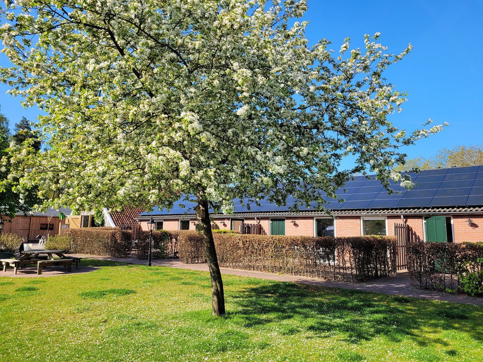 Vakantiehuis voor 2 tot 6 personen op bosrijke camping in Ruurlo Vakantiehuis voor 2 tot 6 personen op bosrijke camping in Ruurlo