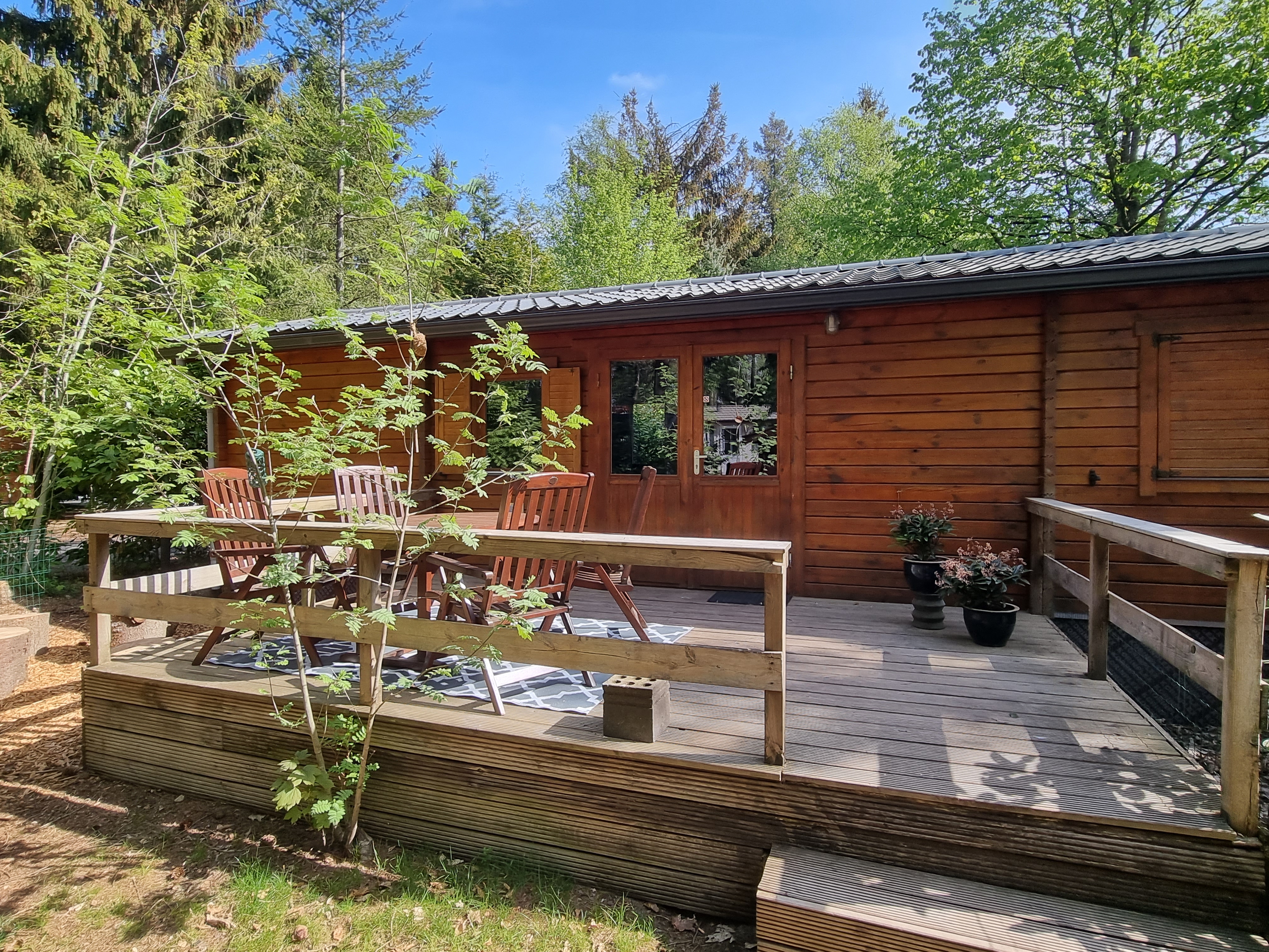 Fins chalet met sauna voor 4 personen op de Veldkamp in Epe