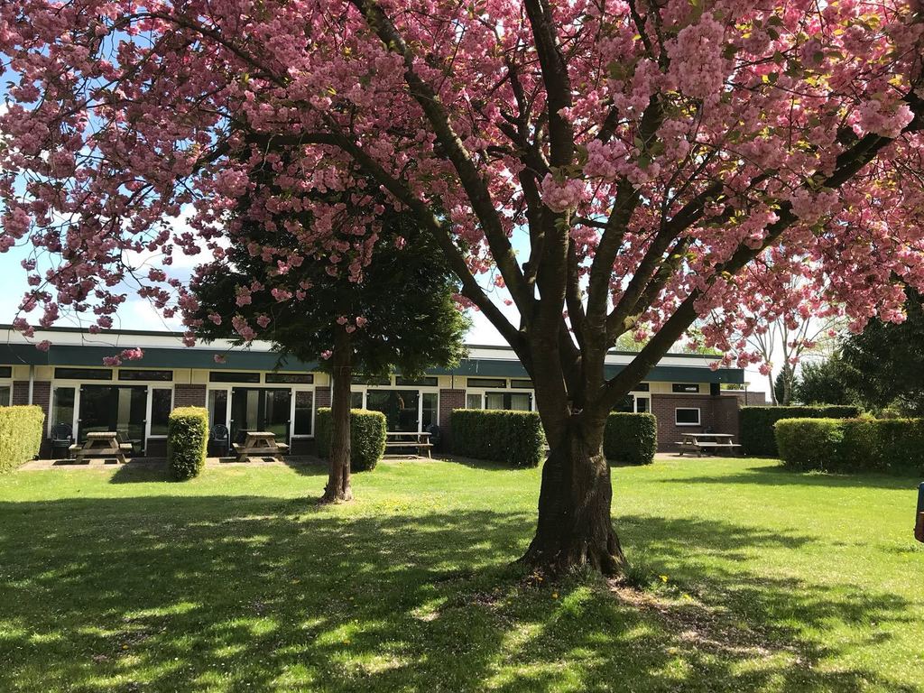 8-persoons Geschakelde Bungalow op park aan de Ijssel
