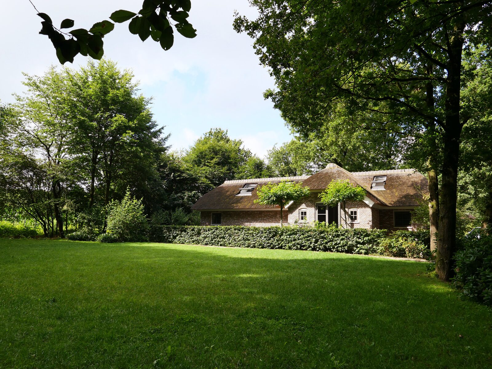 16-persoons Luxe familiehuis op Bospark