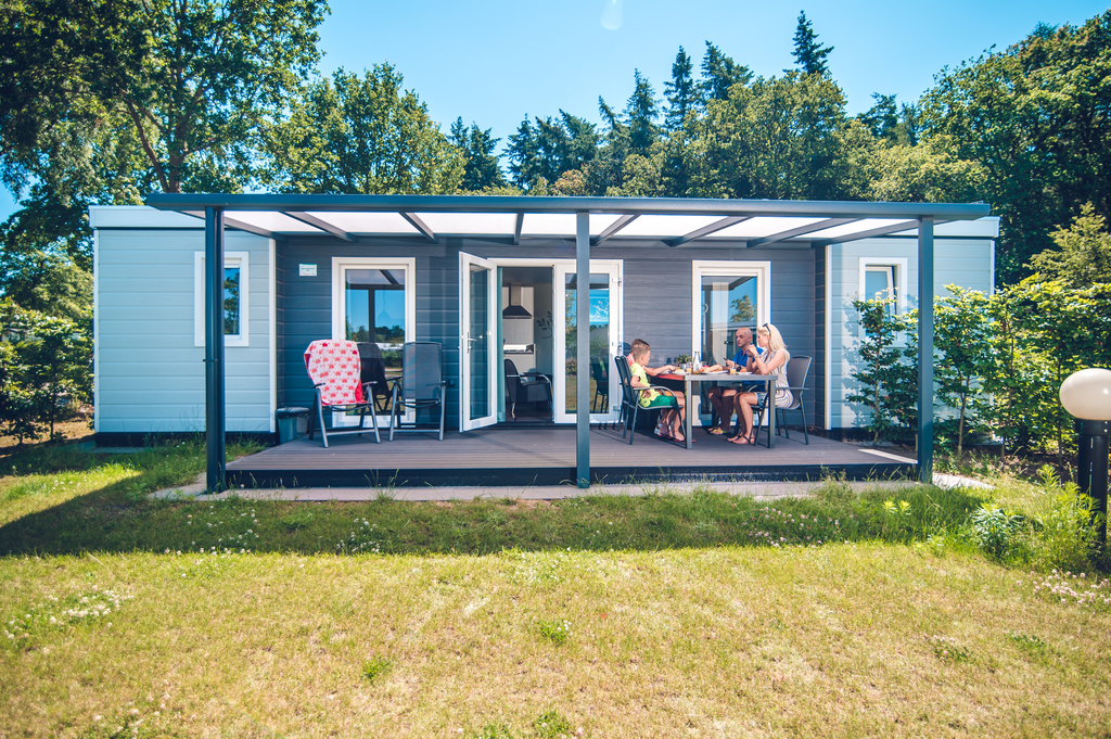 Heerlijk Bosrandchalet voor 6 personen op park in Voorthuizen in Voorthuizen - Gelderland, Nederland foto 8848558