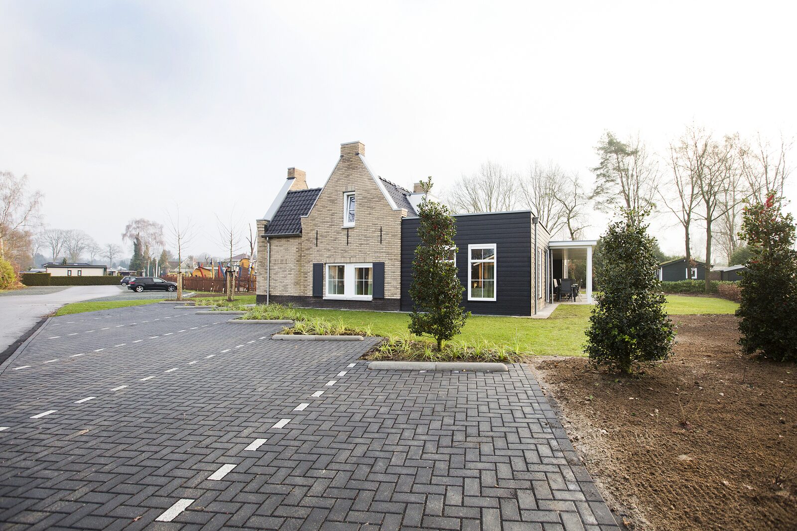 Groepsvilla Extra Toegankelijk voor maximaal 22 personen op de Ijsvogel in Nederland