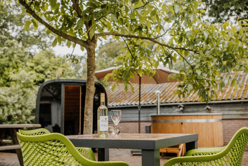 Groepsvilla - 12 personen in Nederland