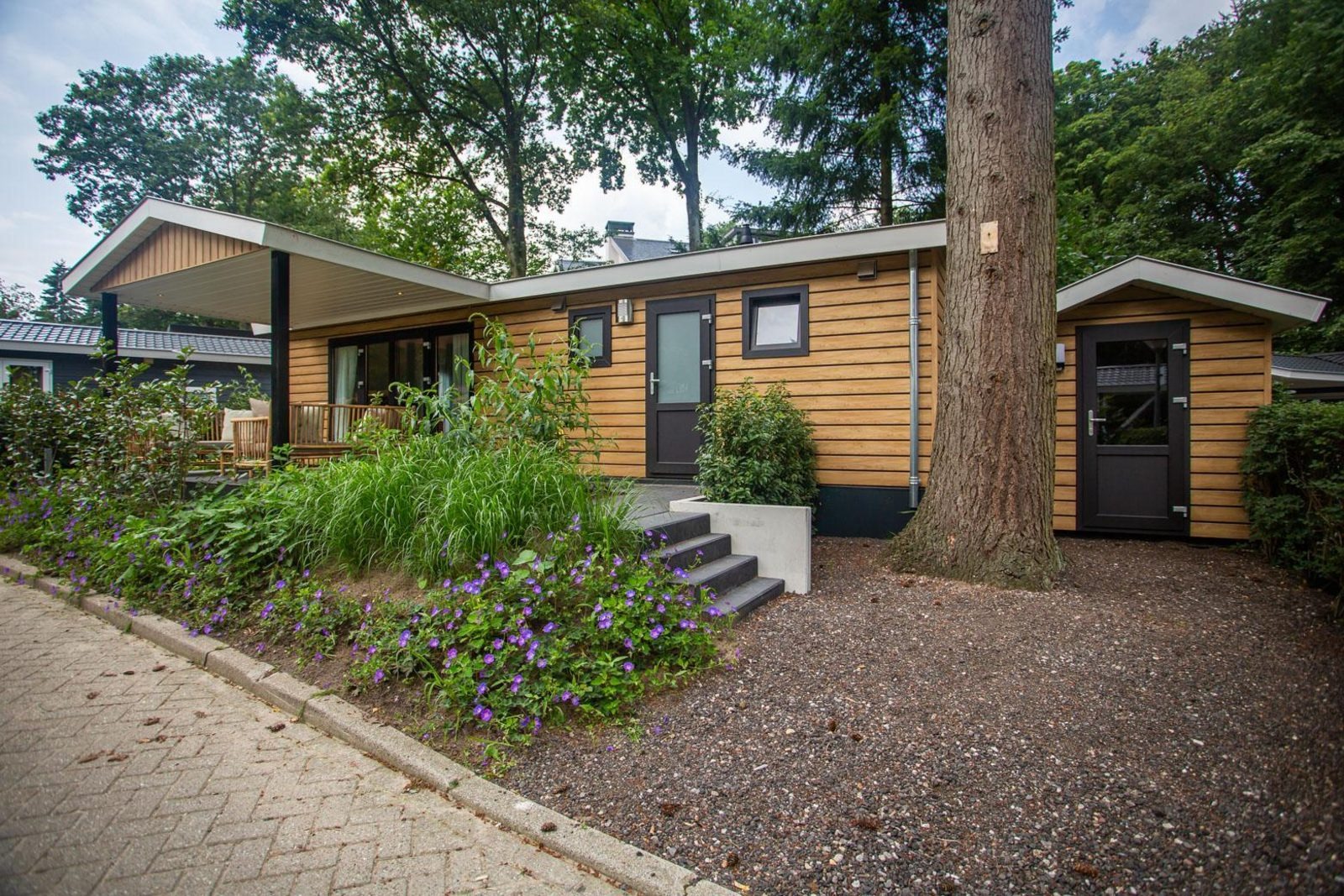 Heuvelrug Cottage - 4 personen - Rhenen