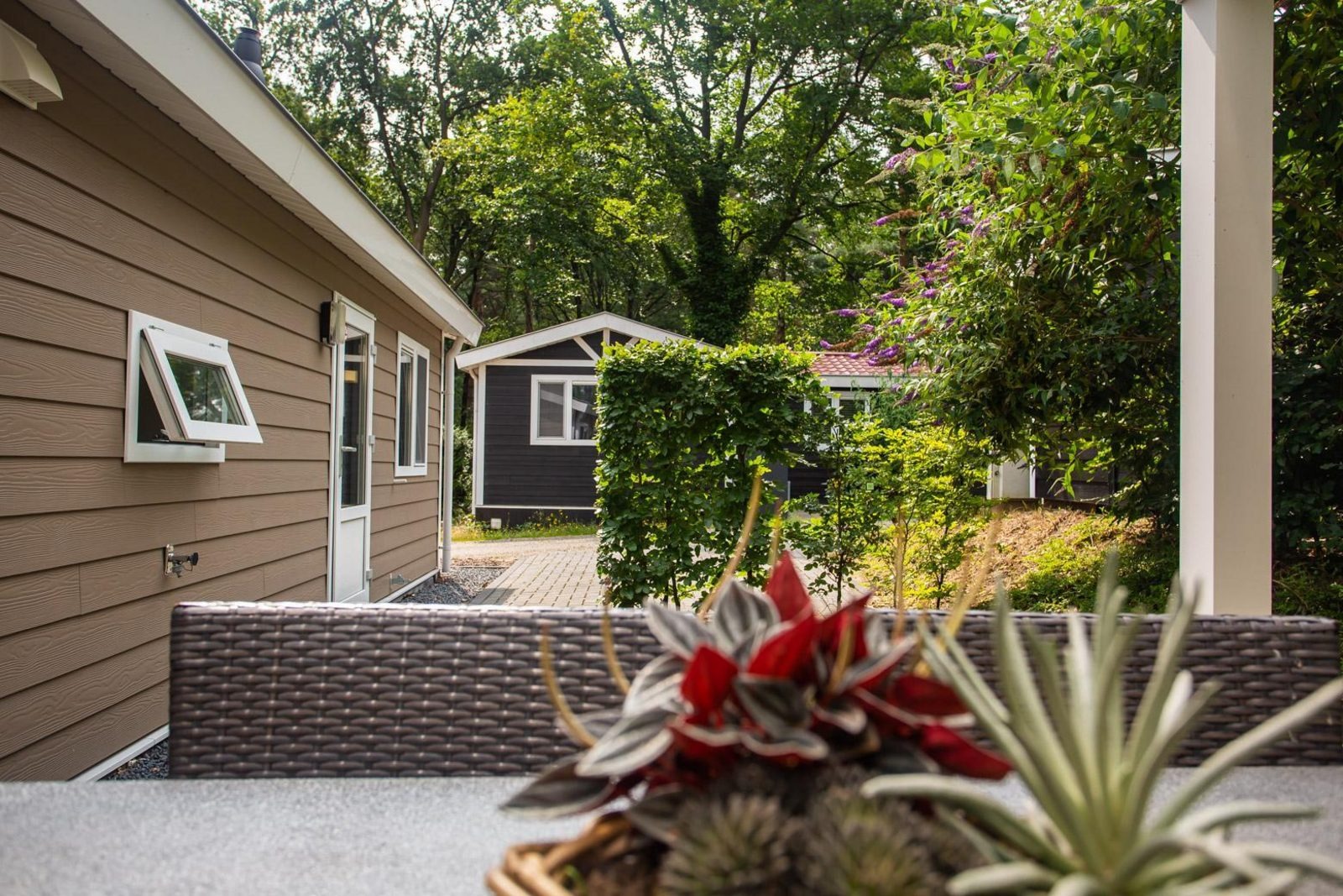 Heuvelrug Cottage Comfort - 4 personen - Rhenen