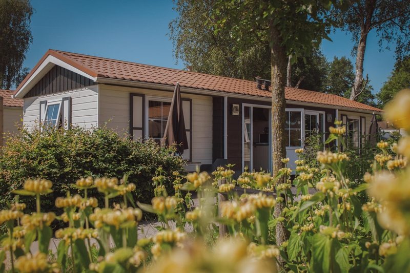 Hotelchalet - 4 personen - Voorthuizen