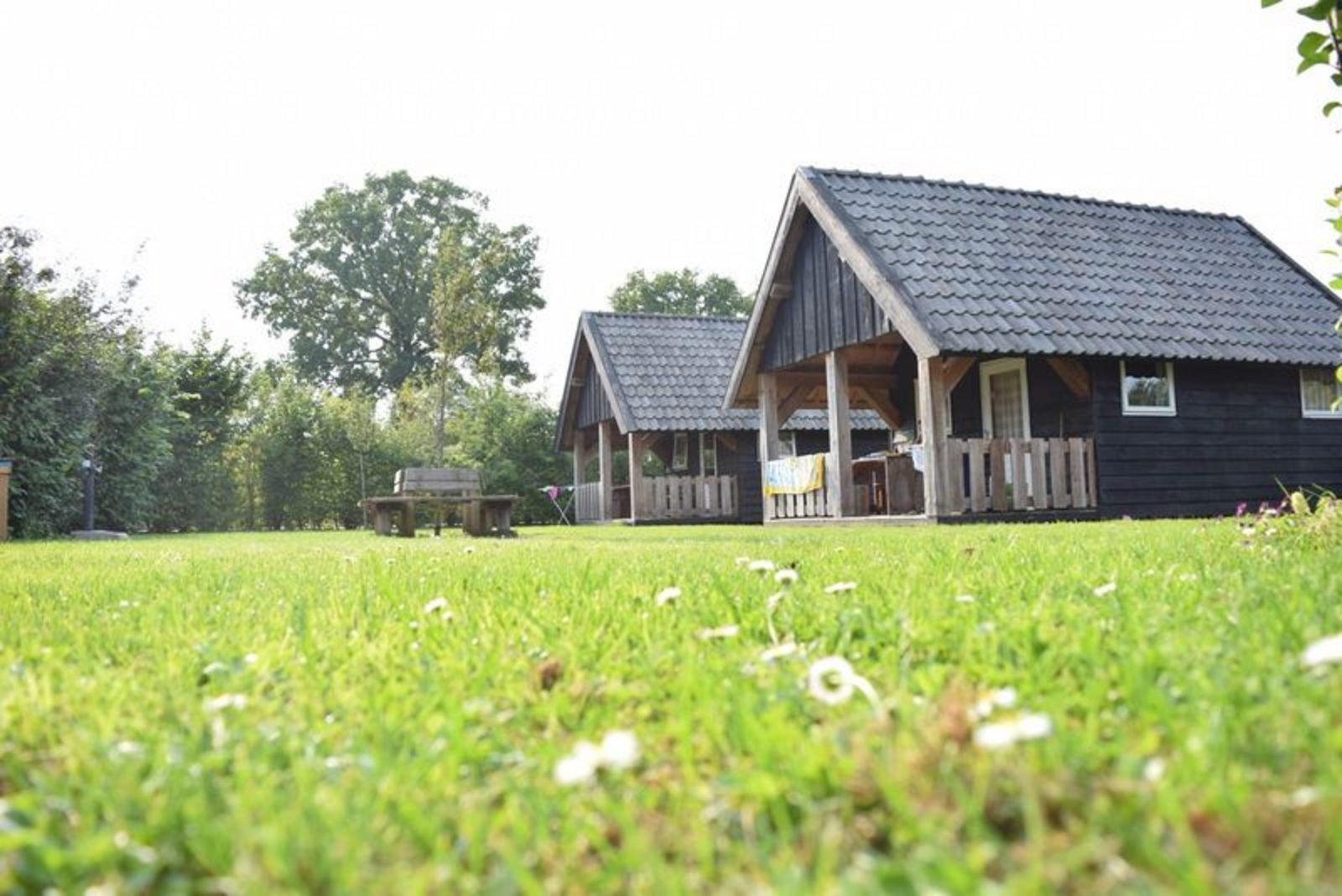 Houtlodge - 18 personen - Voorthuizen