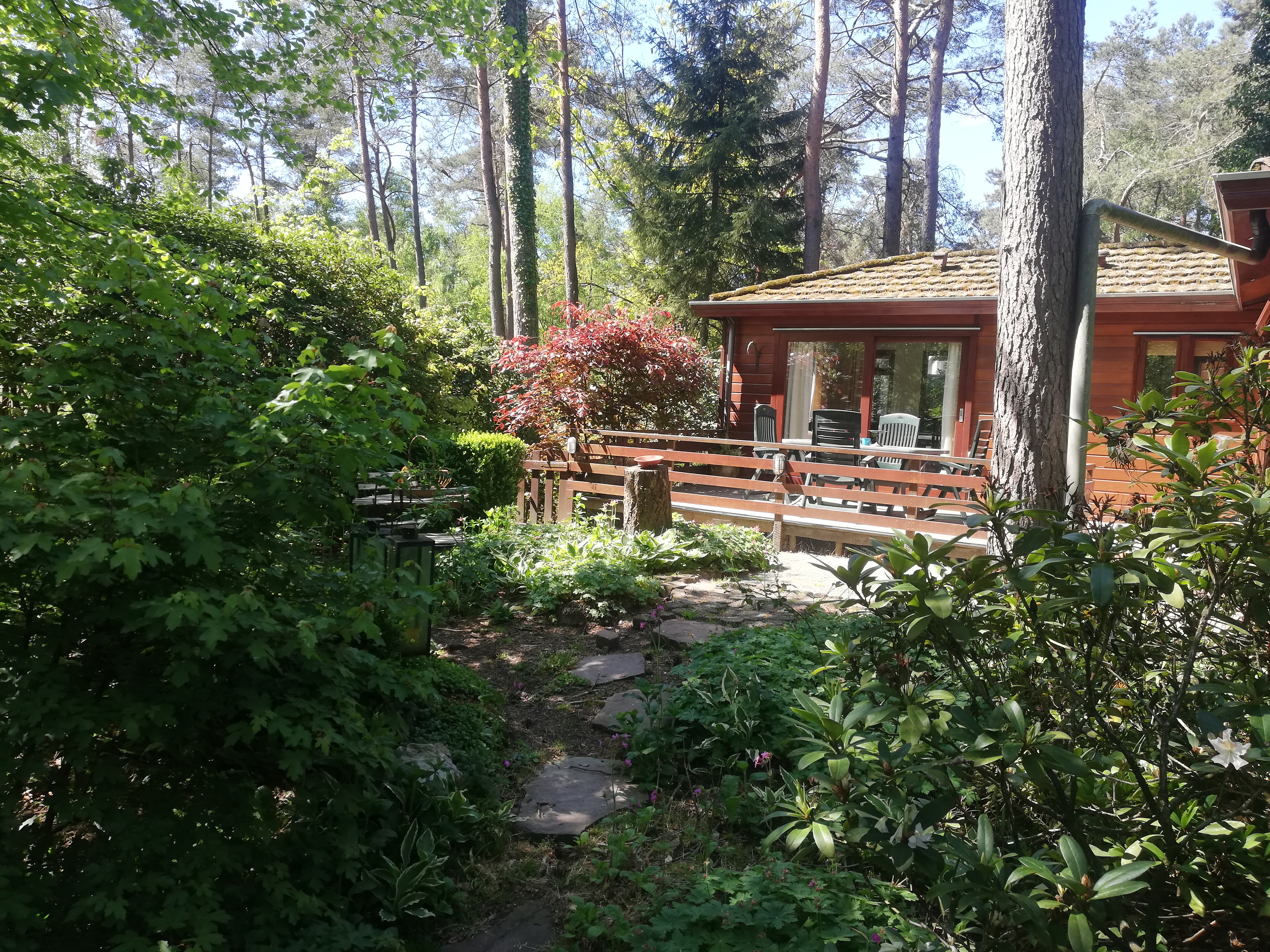 4-persoons keurig chalet op park in Doornspijk met omheinde tuin 4-persoons keurig chalet op park in Doornspijk met omheinde tuin