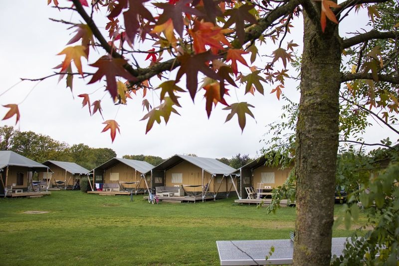 Luxe Safarilodge - 4 personen in Nederland