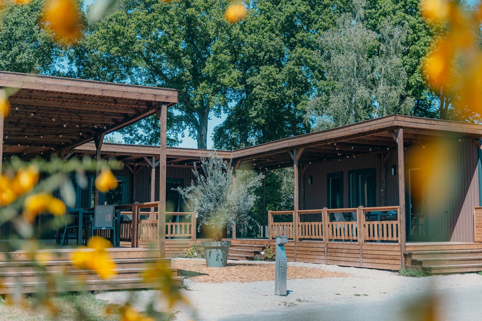 Tiny Lodges in de natuur- 12 personen in Nederland