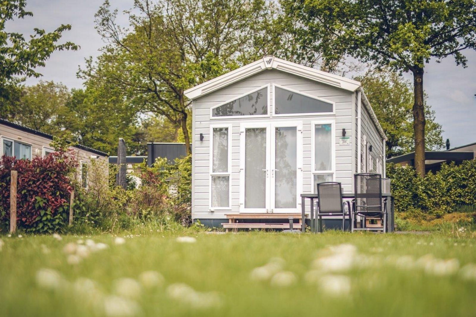 Tinyhouse Eekhoorn 4 personen afbeelding