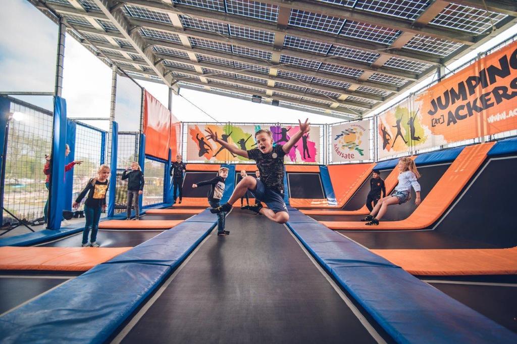 Fraaie vakantievilla voor 4 personen op park in Voorthuizen in Voorthuizen - Gelderland, Nederland foto 8820141