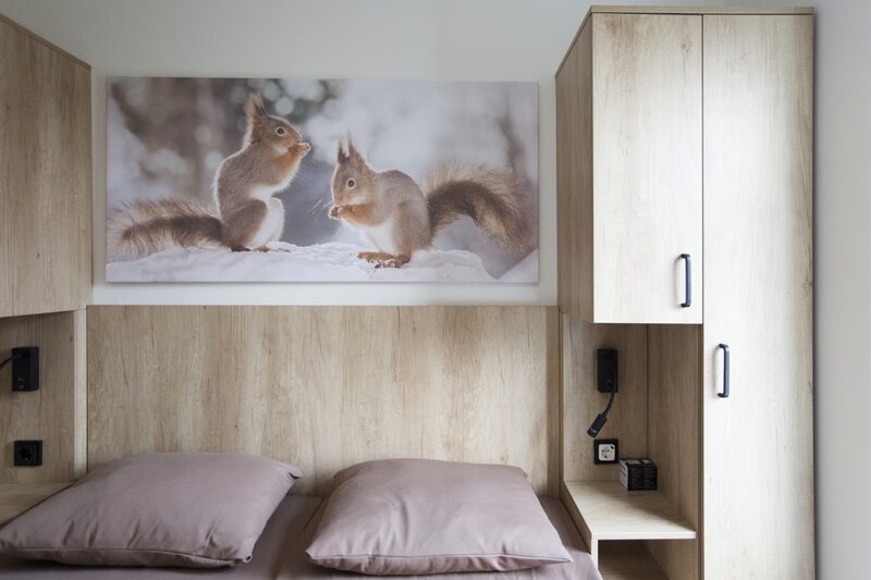 Vakantievilla voor 8 tot 12 personen op de Veluwe in Voorthuizen Vakantievilla voor 8 tot 12 personen op de Veluwe in Voorthuizen